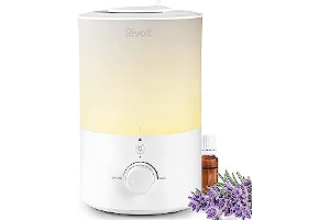 61eToHkevpL._AC_UL320_