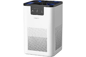 71XXzuoFcIL._AC_UL320_